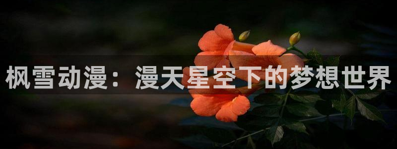 age动漫网在线观看
